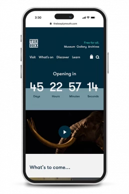 The Box mobile website design