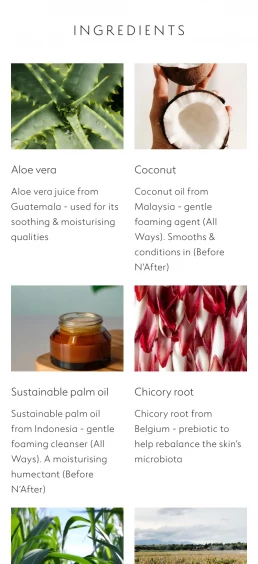 Dr Lipp Shopify wesbite design product page ingredients