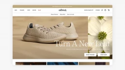 Allbirds Shopify Website Design