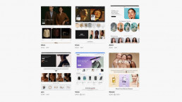 Generic Shopify store themes