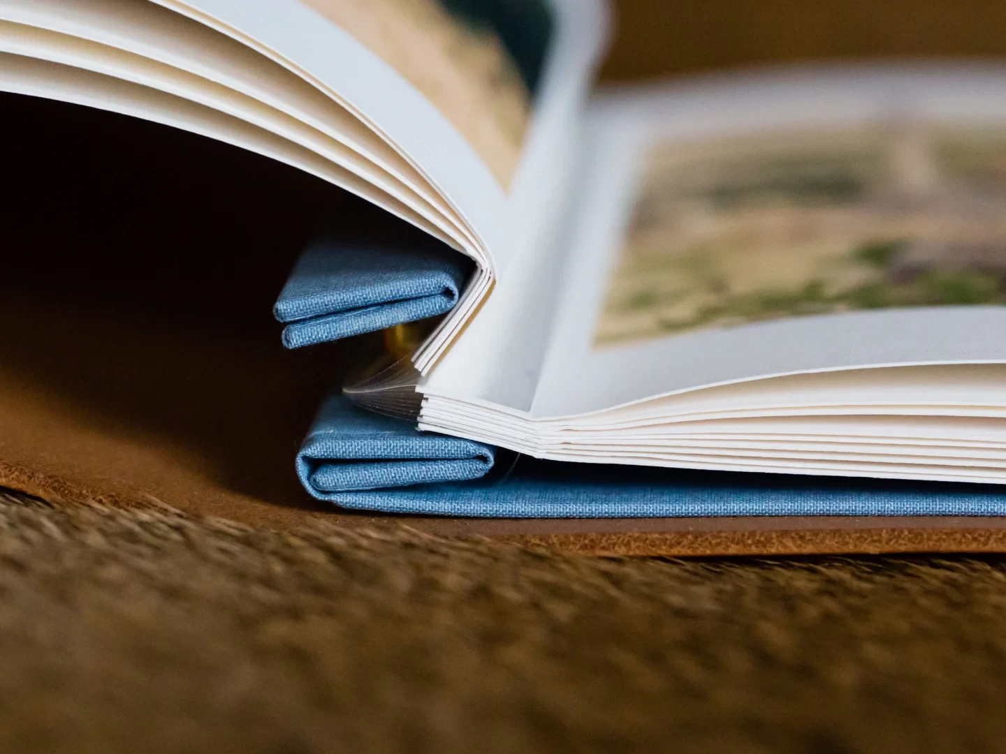 Hartnack and Co book close up